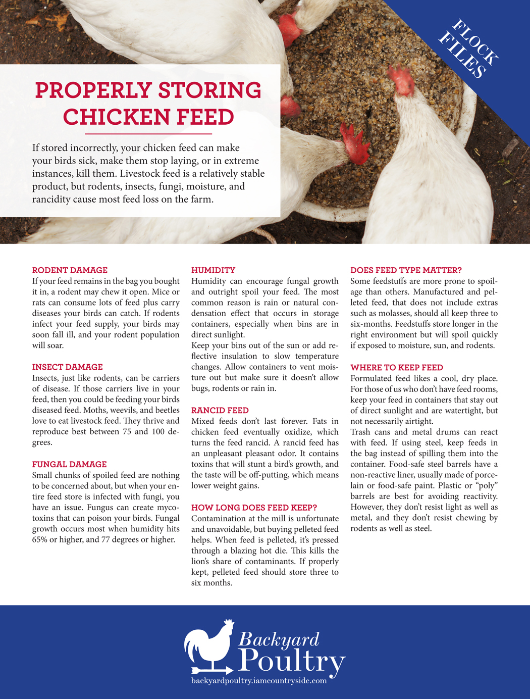 Properly Storing Chicken Feed Backyard Poultry